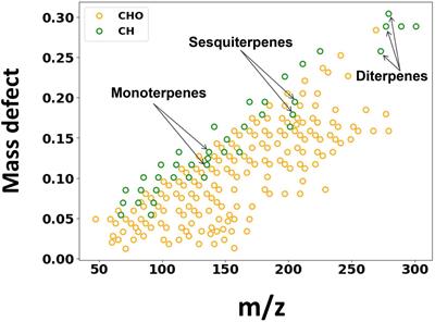 Complexity of downy birch emissions revealed by Vocus proton transfer reaction time-of-flight mass spectrometer